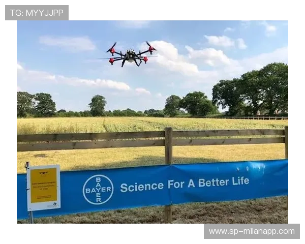 切尔西若能在体系化道路上走稳，未来美好可期